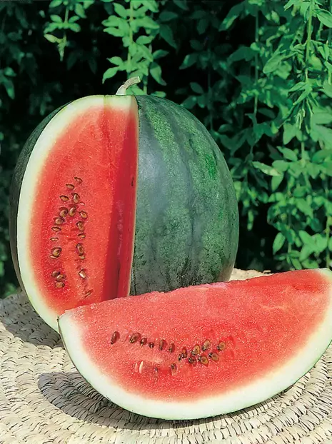 Melonensamen Rosario F1 Wassermelone (Citrullus Lanatus)