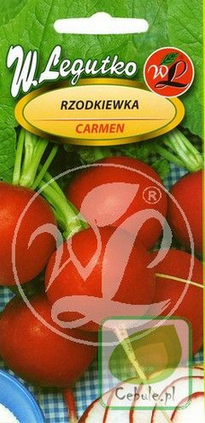 Samen Radieschen 'Carmen' (Raphanus sativus) 