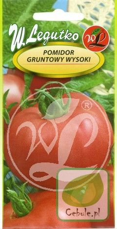 Samen Tomate Himbeere (Lycopersicon esculentum