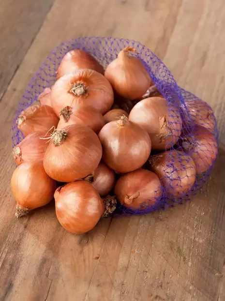 Rote Kleinzwiebel 'Red Sun' 500g