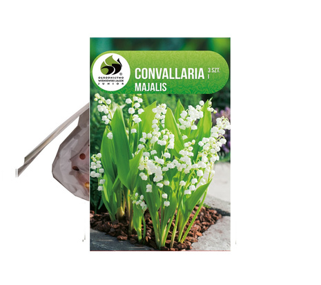 Maiglöckchen (Convallaria majalis) 5 St.