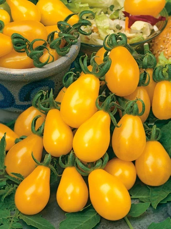Samen Mini Gelbe Tomaten Perun 0,2 g